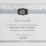 eray eraslan sertifika 2