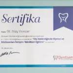eray eraslan sertifika 3