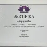 eray eraslan sertifika 9