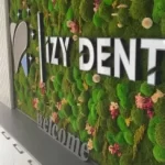 izydent-03-1-300x244